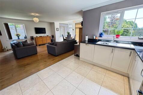 Kitchen/Living Area