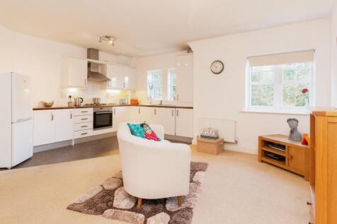 Living Area/Kitchen