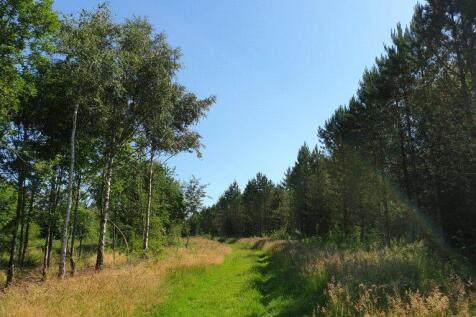 Battram Woods
