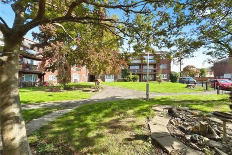 Viewi From The Front