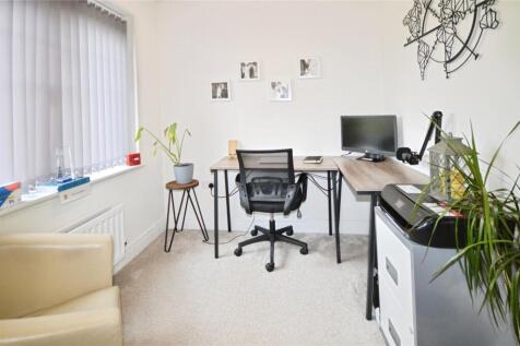 Study Area