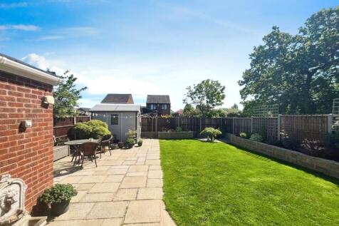 Rear Garden No. 06