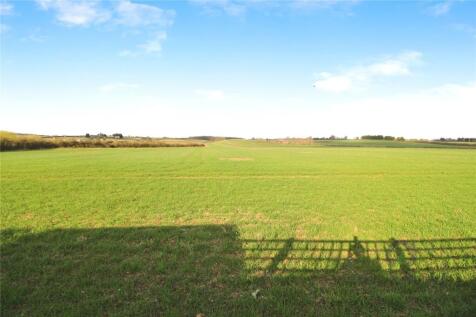 Field View