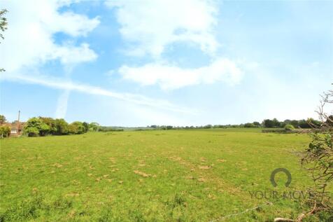 Field View