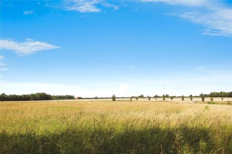 Haynes Fields