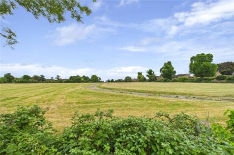 Field Outlooks