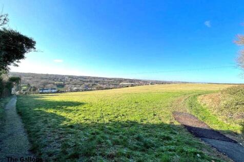 The Gallops