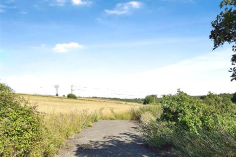 The Gallops