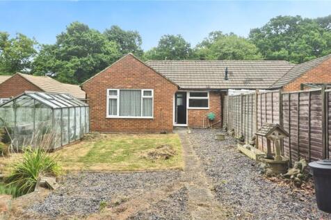 Back Garden