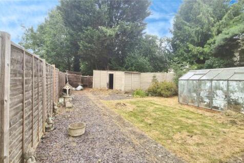 Back Garden 2