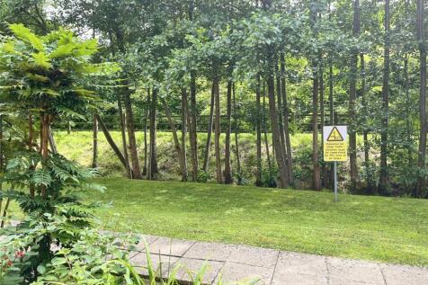 Woodland Set Behind