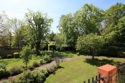 new rear garden 2 May.JPG