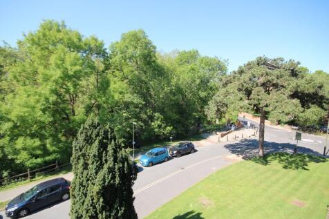 new view.JPG