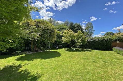 garden2.jpg