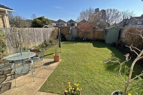 garden.jpg