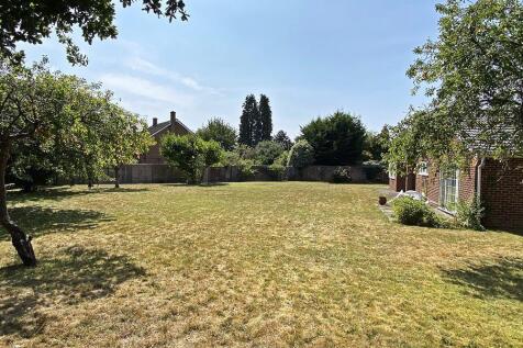 garden2.jpg