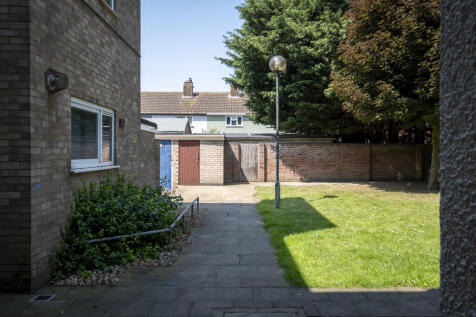 CoronillaGreen-27
