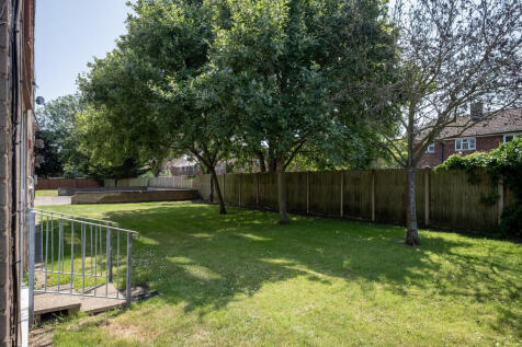 CoronillaGreen-29