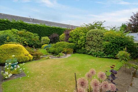 Garden - Rear