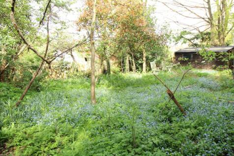 Property Image 36