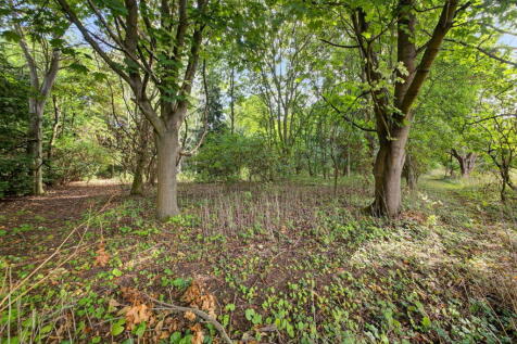 Property Image 51