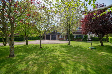 Property Image 44