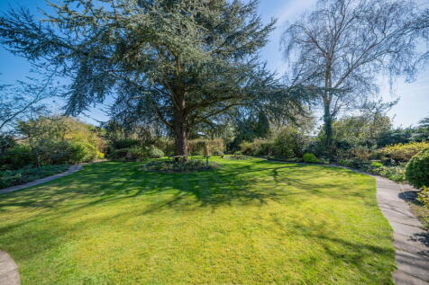 Property Image 39