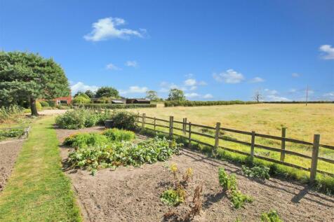 Veg Plot - b.JPG