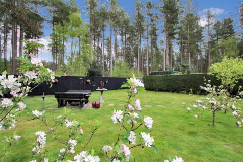 Front Garden - 1.JPG