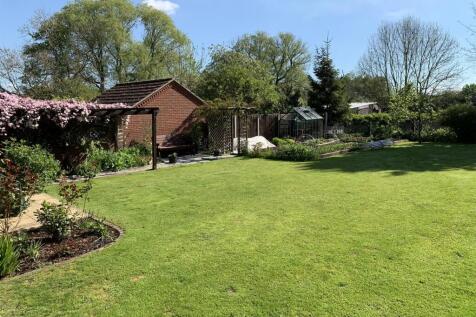 Summer Garden Shot.JPEG