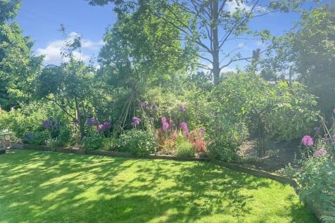 Summer Border - b.JPEG