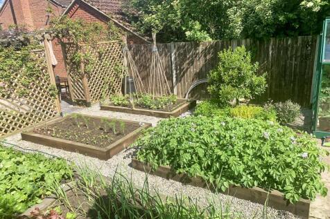 Summer Veg Plot.JPEG