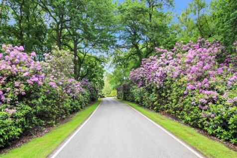 Nettleton Big Wood Drive 3.JPG