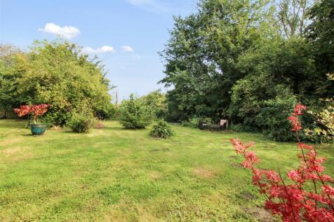 Garden - b.jpg