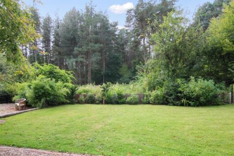 Garden - a.jpg