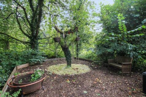 Wooded Area - a.jpg