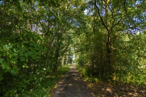 Low Moor Farm - Approach.jpg