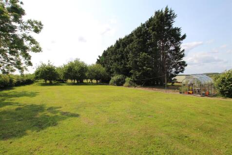 Side Garden &amp; Orchard.JPG