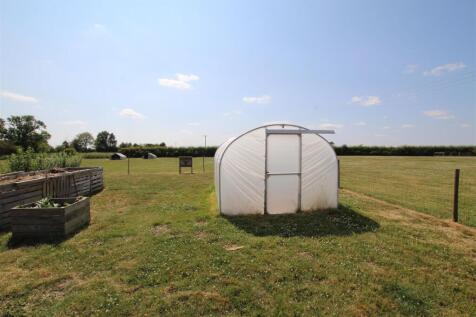 Polytunnel.JPG