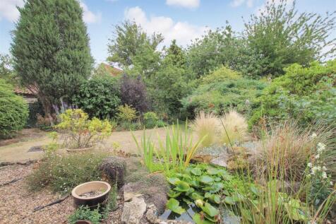 Garden.JPG