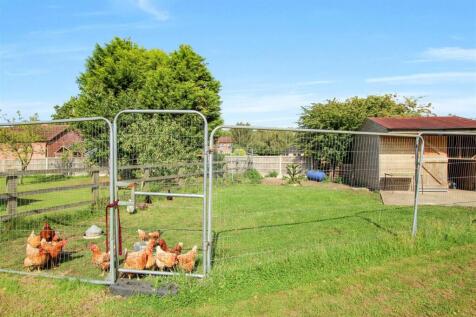 Chicken Enclosure - b.JPG