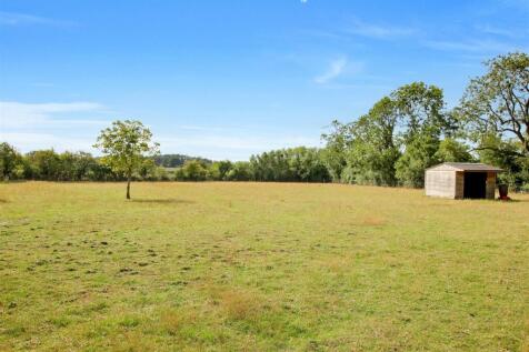 Paddock Land &amp; Shelter - b.JPG