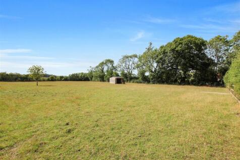 Paddock Land &amp; Shelter.JPG