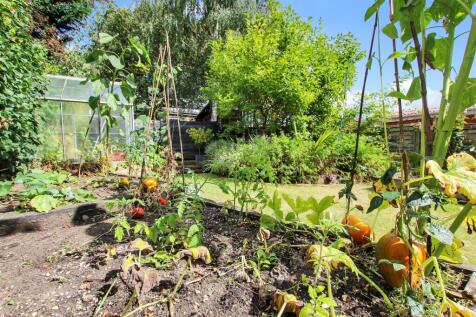 Raised Veg Beds.JPG