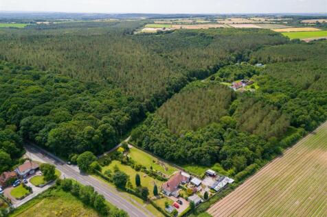 DJI_20240718131451_0169_D.jpg