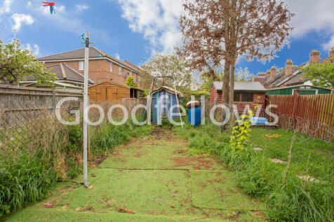 Picture 11