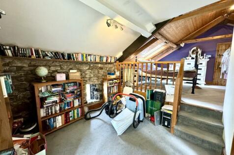 STUDY AREA