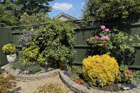Rear garden.jpeg
