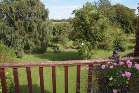 View from Kitchen