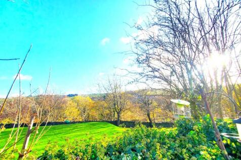 Surrounding Area Views